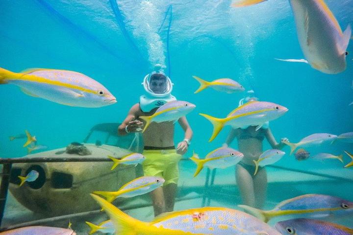a group of blue water