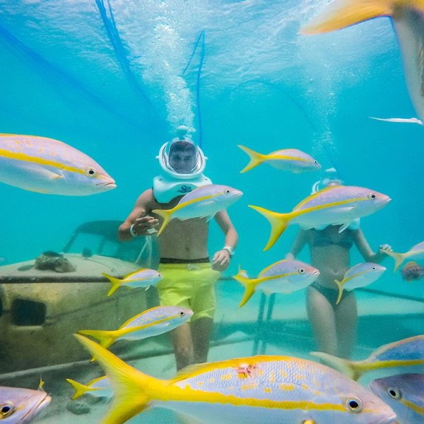 a group of blue water