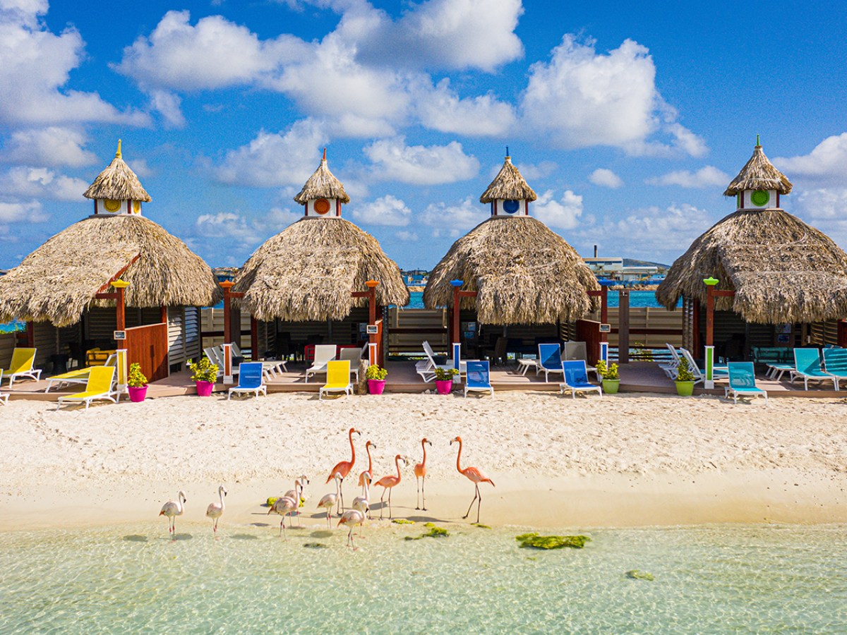 De Palm Island Aruba Flamingo